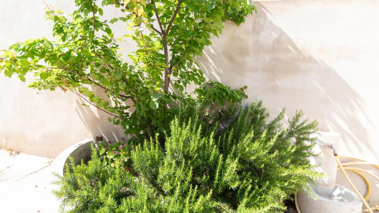 Apartmán Sardinianworld - Casa Tatti San Giovanni di Sinis Exteriér fotografie